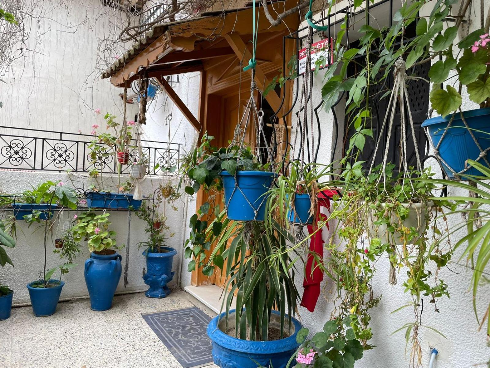 Casa Zitouna - Guest House - Kef, Tunisia El Kef Экстерьер фото
