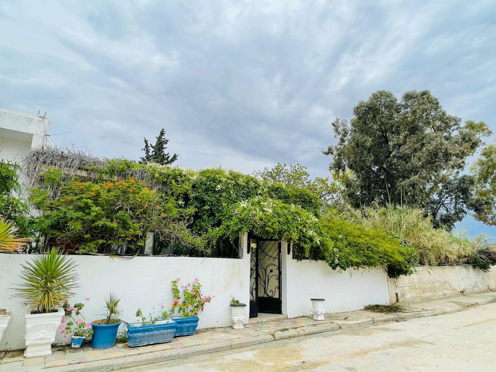 Casa Zitouna - Guest House - Kef, Tunisia El Kef Экстерьер фото